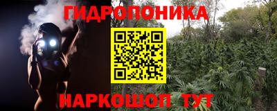 прущие грибы Кунгур