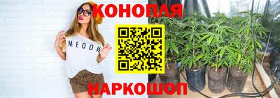 прущие грибы Кунгур